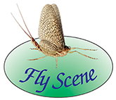 fly scene